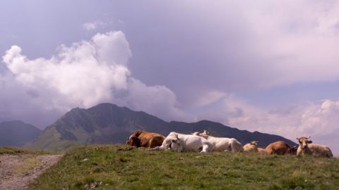 ROUTE DE SUPERBAGNÈRES OUVERTE